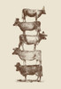 Cow Cow Nuts Poster Print - Florent Bodart