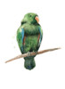 Bird 3 Poster Print - Brenna Harvey