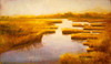 Wetlands Poster Print - Cory Steffen