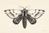Moth IV Poster Print - Avery Tillmon
