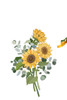 Colorful Sunflower 1 Poster Print - Xuan Thai