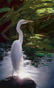 Egret Light Poster Print - Steve Hunziker