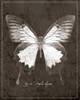 Butterfly H Poster Print - ArtLab GI