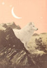 Giant White Wolf In Mountains Poster Print - Florent Bodart