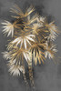 Golden Palm Tree Poster Print - Alex Black