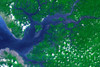 NASAs Terra Spacecraft View of the Sierra Leone Estuary Poster Print - NASA