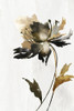 Black and Gold Floral Poster Print - Alex Black