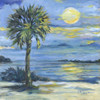 Impressions of Palms - Sunset I Poster Print - Paul Brent