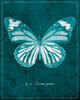 Butterfly D Poster Print - ArtLab GI