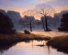 Natures Early Morning Mist Poster Print - Michael John Hill