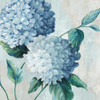 Blue Hydrangea Blooms II Poster Print - Alex Black