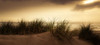 Dunes Poster Print - Don Schwartz
