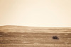 Badlands Guard Sepia Poster Print - Nathan Larson