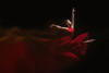 Flow of Dance Poster Print - Rob Li