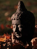 Buddha Head in Fall Leaves Poster Print - Artographie