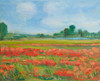 Living Coral Poppy Field Poster Print - Alexi Fine