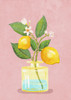 Lemon Bunch In Vase Poster Print - Raissa Oltmanns