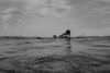 Woman Surfing Poster Print - Artographie