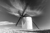 Windmill Poster Print - Artographie
