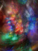Christmas tree lights Poster Print - Images Merrill