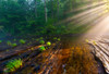 Hiwassee Morning Rays Poster Print - Rachel Lee
