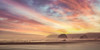 Coastal Brilliance Poster Print - Don Schwartz
