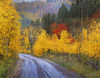 Wet Road Peak of Autumn Poster Print - Christopher Vest