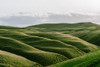 The Rolling Hills Poster Print - Artographie