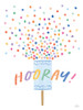 Birthday Wishes V Poster Print - Laura Marshall