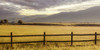 Pastoral Summer Morning Poster Print - Don Schwartz
