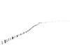 Bending Poster Print - Don Schwartz