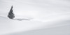 Alone on the Snowy Pass Poster Print - Don Schwartz