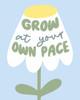 Grow At Your Pace Poster Print - Beth Cai