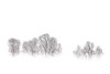 Bare Trees on a Misty Morning Poster Print - Don Schwartz