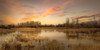 Serene Wetland Poster Print - Don Schwartz
