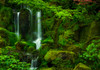 Heavenly Falls in Spring Poster Print - Don Schwartz