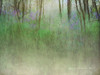Glimpse of the Lake Poster Print - Christopher Vest
