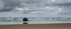 Beach Boulder Poster Print - Don Schwartz