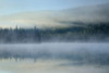 Redfish Lake Idaho Poster Print - Alan Majchrowicz
