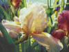 Corrines Iris Poster Print - Elizabeth Horning