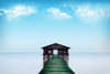 Green Dock Poster Print - Artographie
