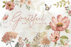 Summers Grateful Poster Print - Nan