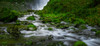 Creek Below the Falls Poster Print - Don Schwartz
