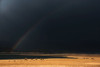 grasslands Poster Print - Swapnil