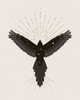 Spirit Bird Poster Print - Beth Cai