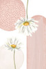 Daisy Pinks 3 Poster Print - Moss Sally Ann