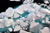 Arctic Ocean Ice Flow Poster Print - Artographie
