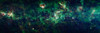 The Milky Way Galaxy Poster Print - NASA