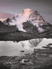 Mount Robson BW with Color Poster Print - Alan Majchrowicz