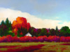 Grapevines in Autumn Poster Print - Donna Young